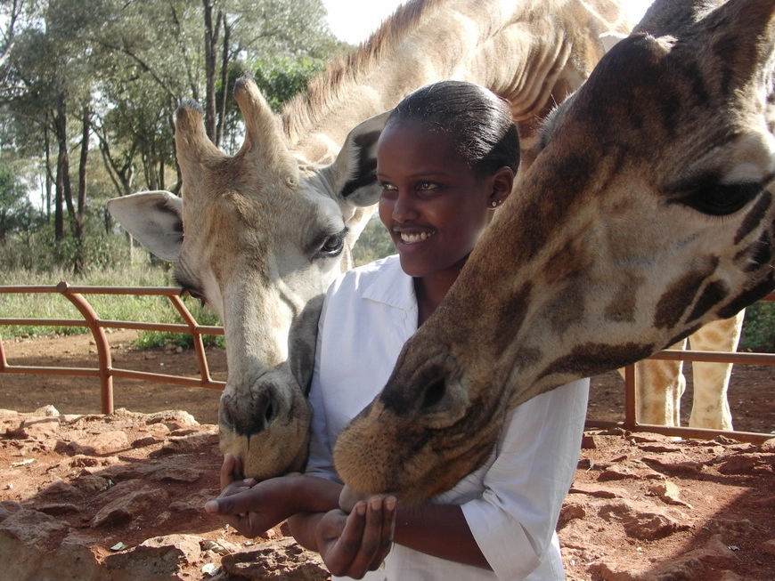 Загрузка картинки - Найроби, жирафий парк. Чернушка Беки делится опытом
