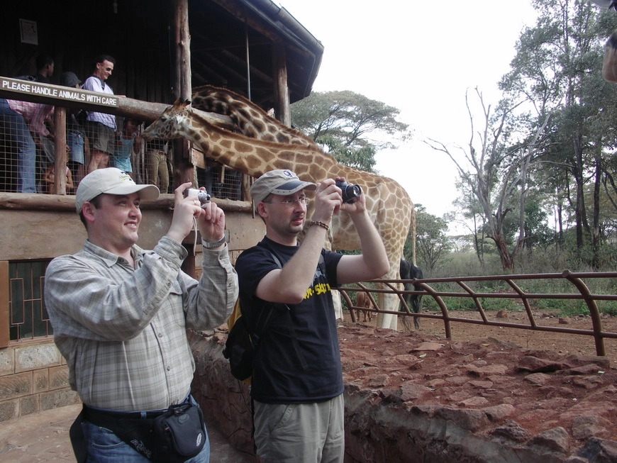 Загрузка картинки - Найроби, жирафий парк. Какие-то вазунги