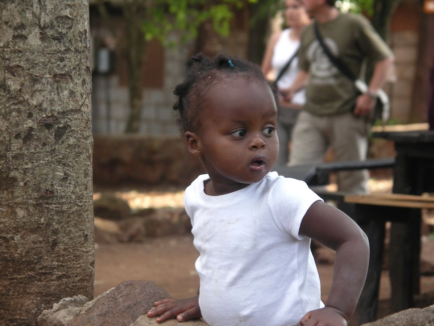 Загрузка картинки - Найроби, жирафий парк. Чёрные детки
