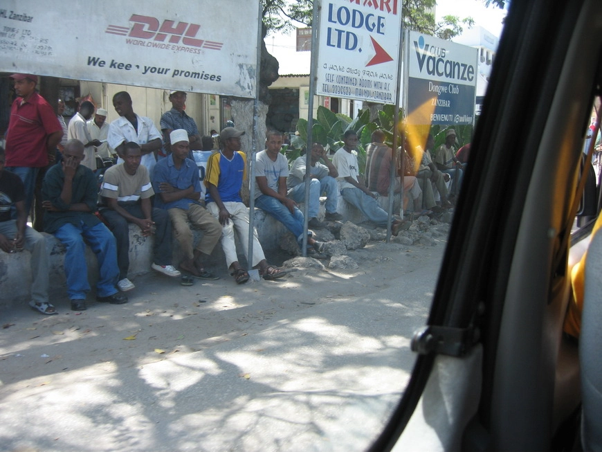 Загрузка картинки - Стоунтаун. Дикое сафари на людей