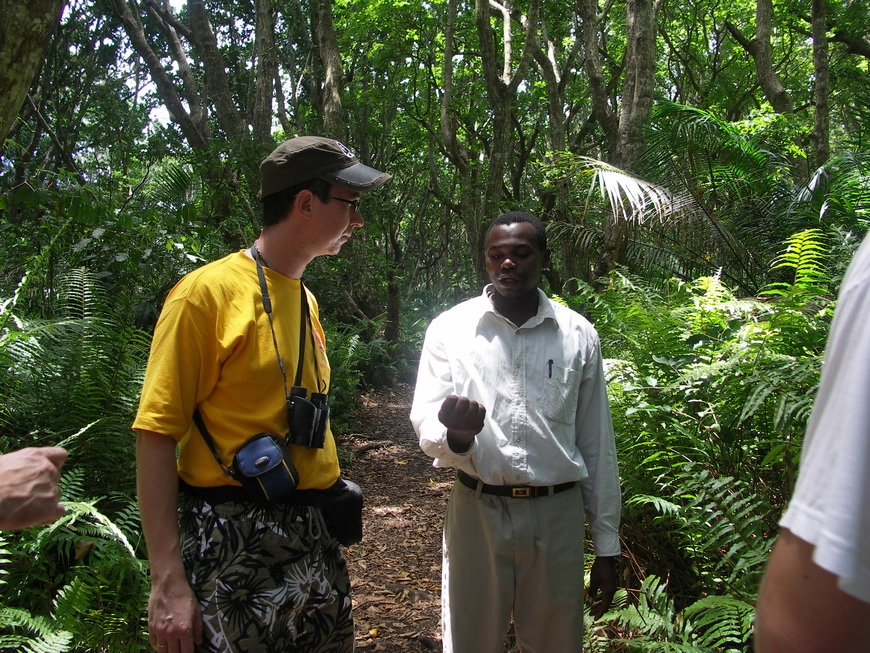 Загрузка картинки - Занзибар, национальный парк. Какие-то реликтовые колобусы внимают гиду
