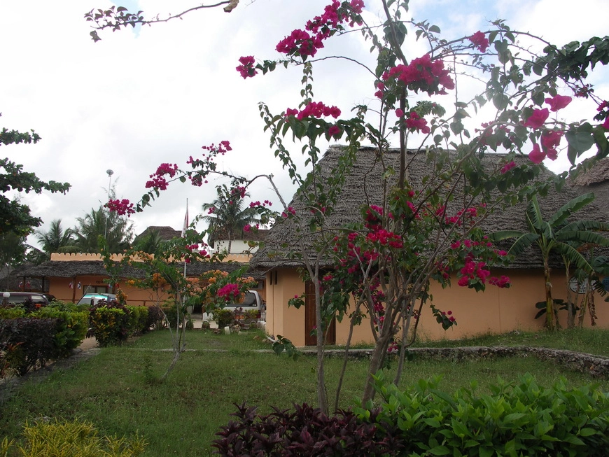 Загрузка картинки - Занзибар, отель Амаан