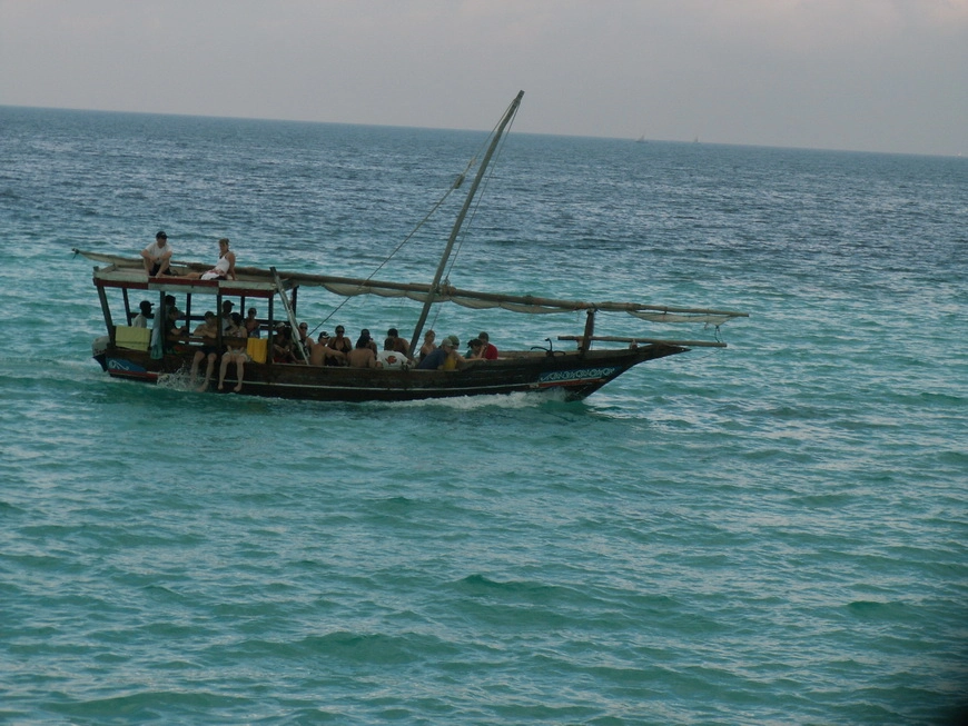 Загрузка картинки - Занзибар, отель Амаан. Индийский океан и его обитатели