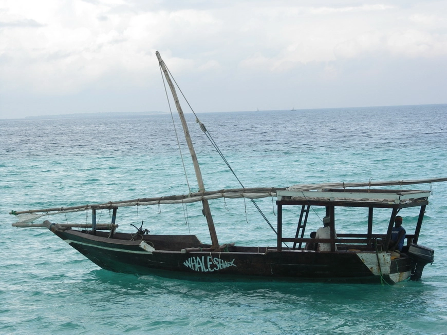 Загрузка картинки - Занзибар, отель Амаан. Индийский океан и его обитатели