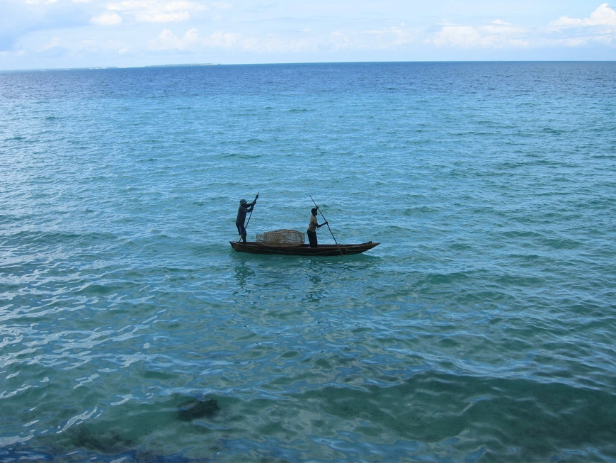 Загрузка картинки - Занзибар, отель Амаан. Индийский океан и его обитатели