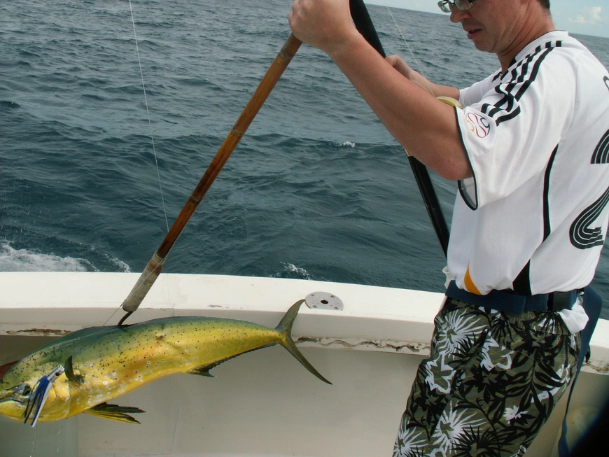 Загрузка картинки - Индийский океан. Профессор Тычинский и хлорная Дорада