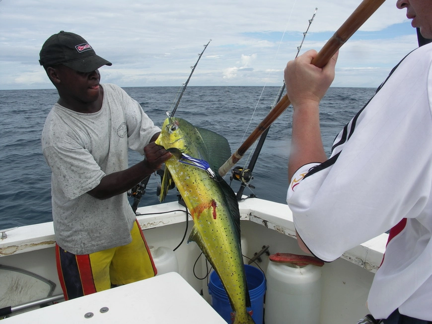 Загрузка картинки - Индийский океан. Маи-Маи
