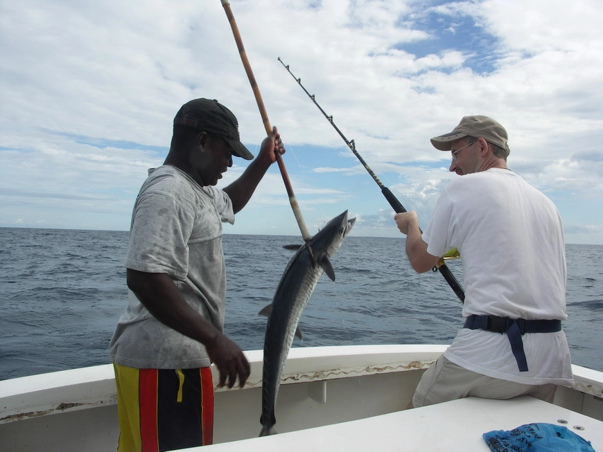 Загрузка картинки - Индийский океан. Капитан Бо и его кинг-фиша