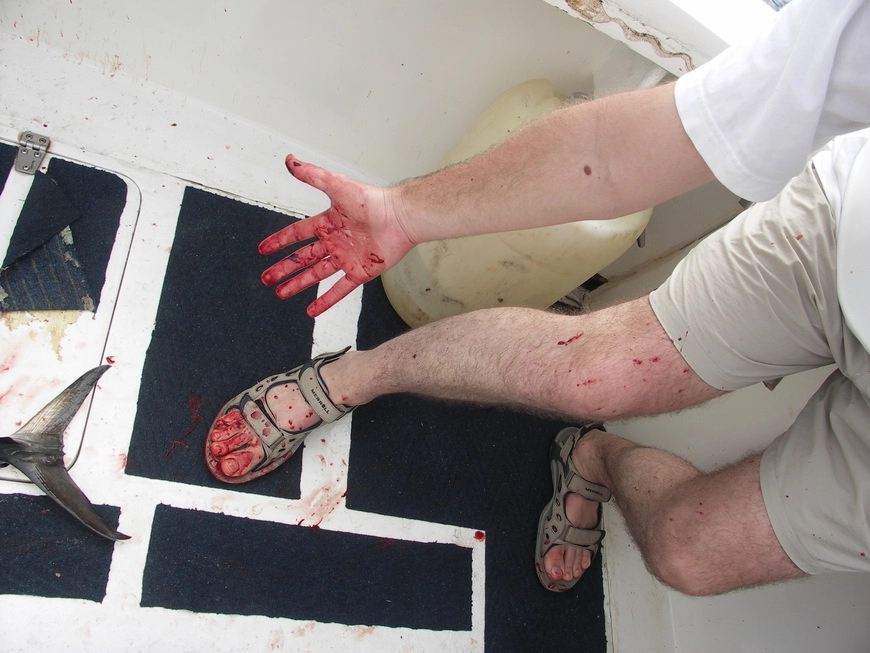 Загрузка картинки - Индийский океан. Шахматный маньяк