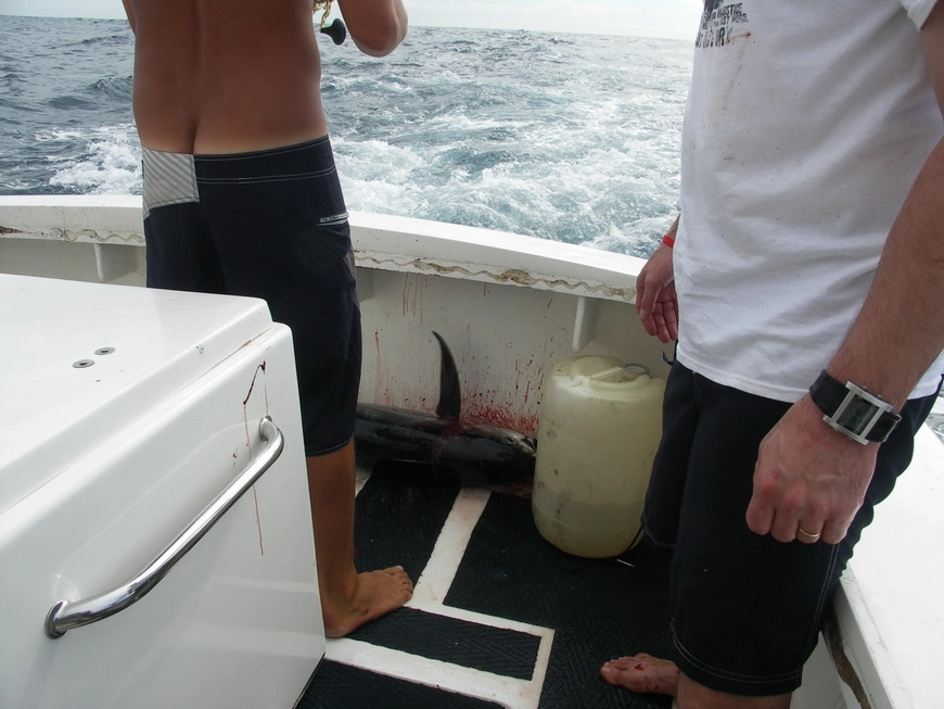 Загрузка картинки - Индийский океан. Капитан Ричард, вид сзади