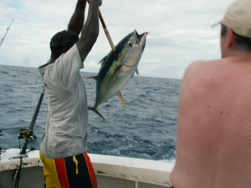 Загрузка картинки - Индийский океан. Эль Улов Брата Джимми