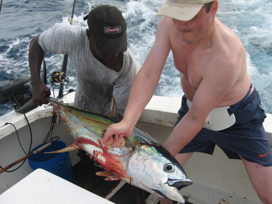 Загрузка картинки - Индийский океан. Туна Брата Джимми