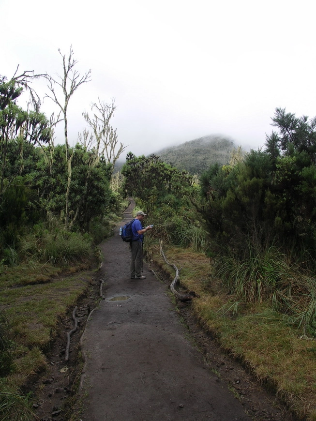 Загрузка картинки - Килиманджаро, Маршрут Мачаме. Тропа