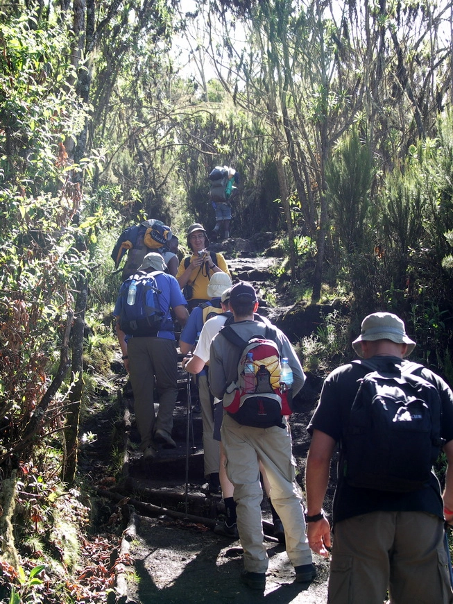 Загрузка картинки - Килиманджаро, маршрут Мачаме. В направлении следующего лагеря