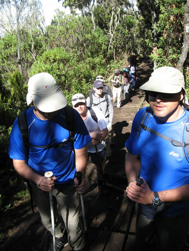 Загрузка картинки - Килиманджаро, маршрут Мачаме. Вход в следующую климатическую зону
