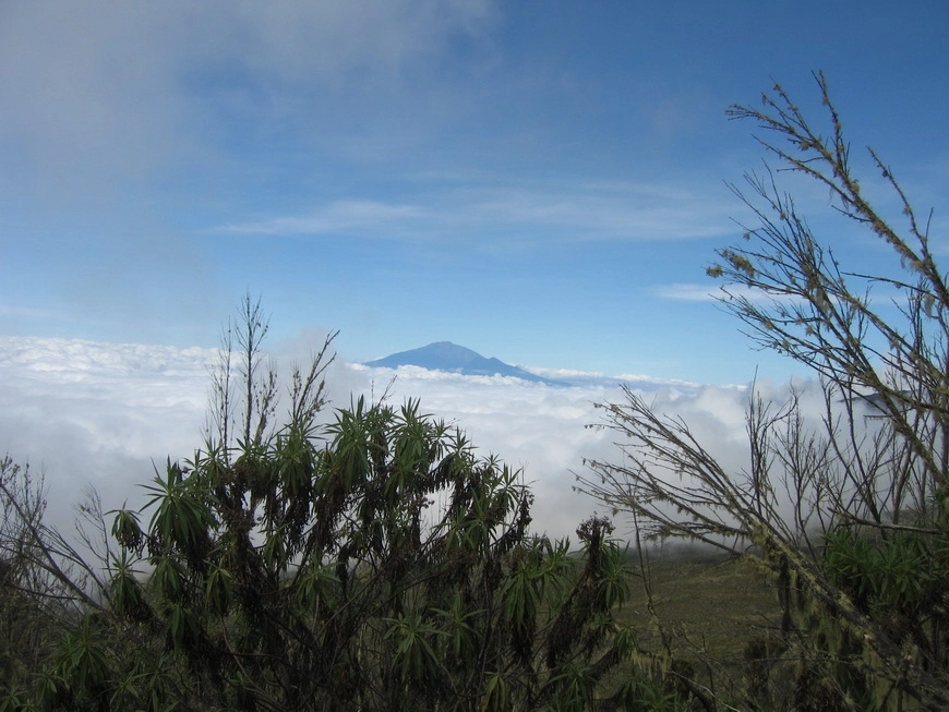 Загрузка картинки - Килиманджаро, Мачаме Хат. Вид на гору-сателлит Шира