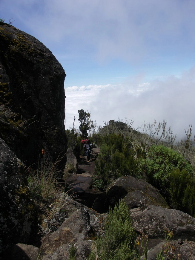 Загрузка картинки - Килиманджаро, маршрут Мачаме. Пейзажи