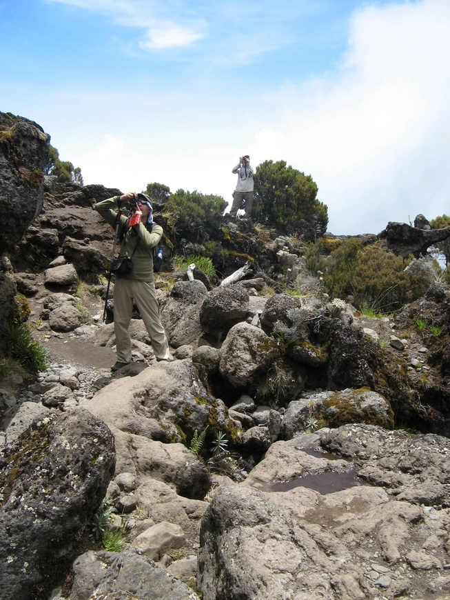 Загрузка картинки - Килиманджаро, маршрут Мачаме. Куда без фото?