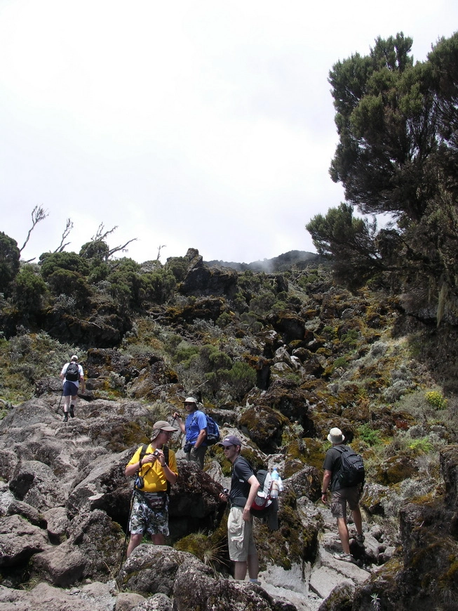 Загрузка картинки - Килиманджаро, маршрут Мачаме. Тундровая тропа