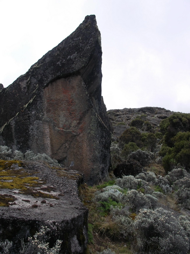 Загрузка картинки - Килиманджаро, маршрут Мачаме. Красоты