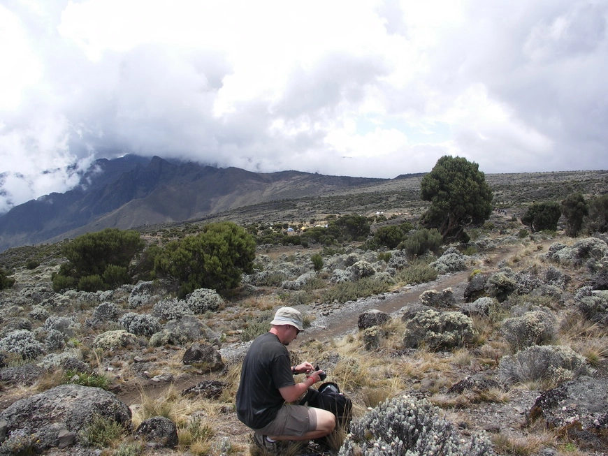 Загрузка картинки - Килиманджаро, маршрут Мачаме. Шира Кэмп на горизонте