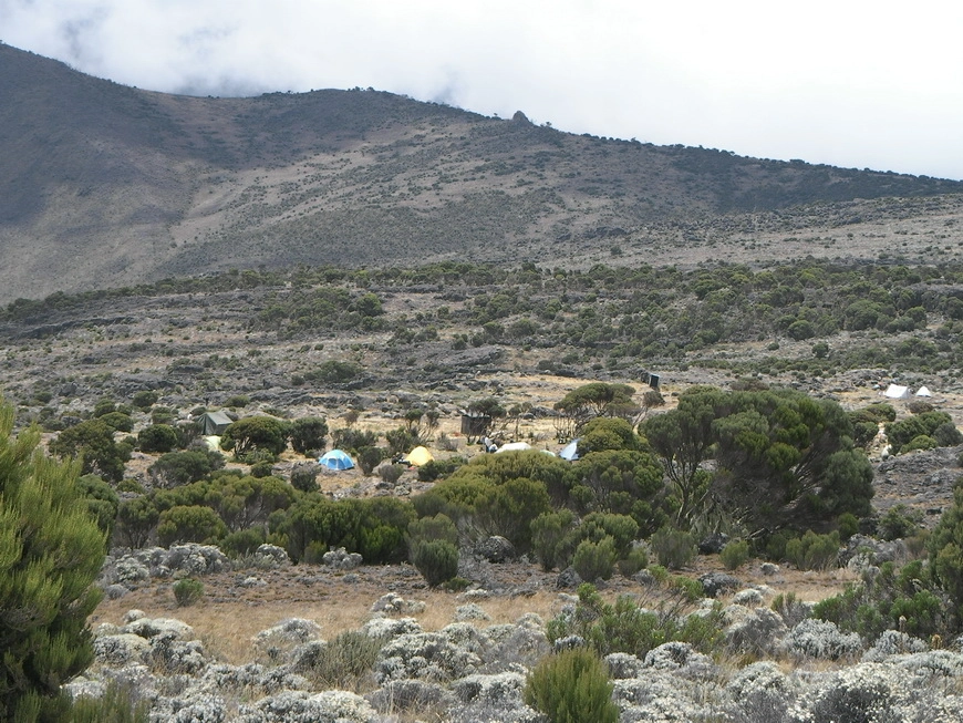 Загрузка картинки - Килиманджаро, маршрут Мачаме. Вид на лагерь Шира Кэмп