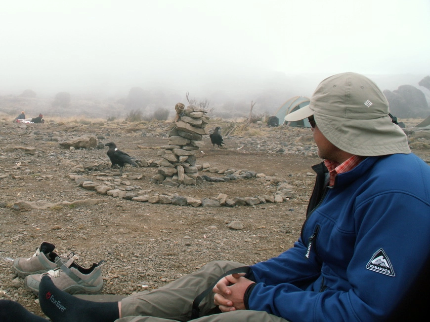 Загрузка картинки - Килиманджаро, Шира Кэмп. Какие-то орлы оценивают очередное творение Мастера