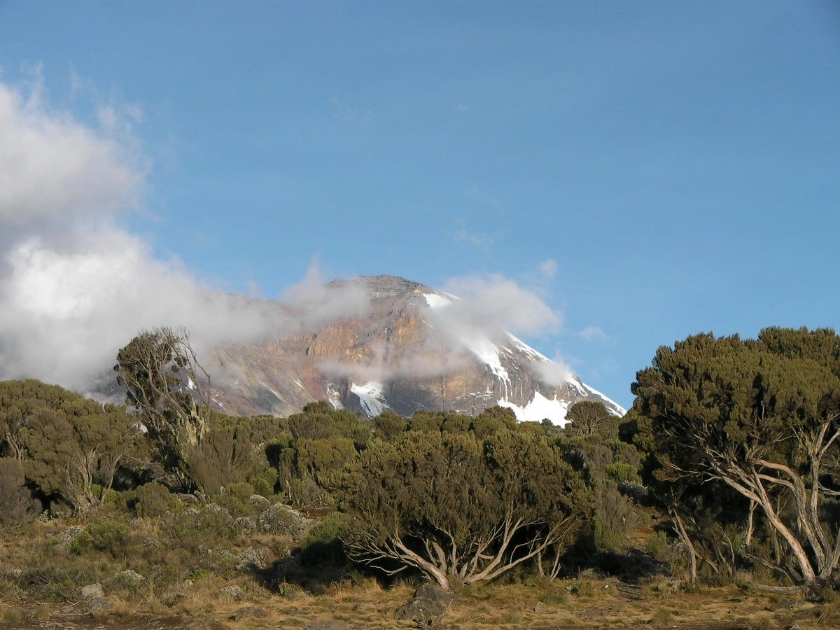 Загрузка картинки - Килиманджаро, Шира Кэмп. Вид на Килиманджаро