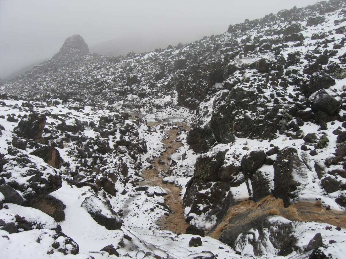 Загрузка картинки - Килиманджаро, маршрут Мачаме. Тропа-ручей