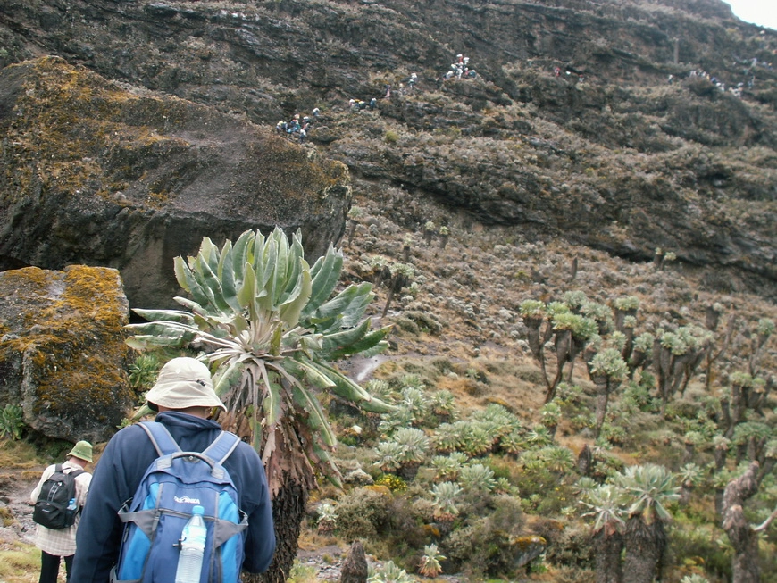 Загрузка картинки - Килиманджаро, Стена Барранко. Мы следующие