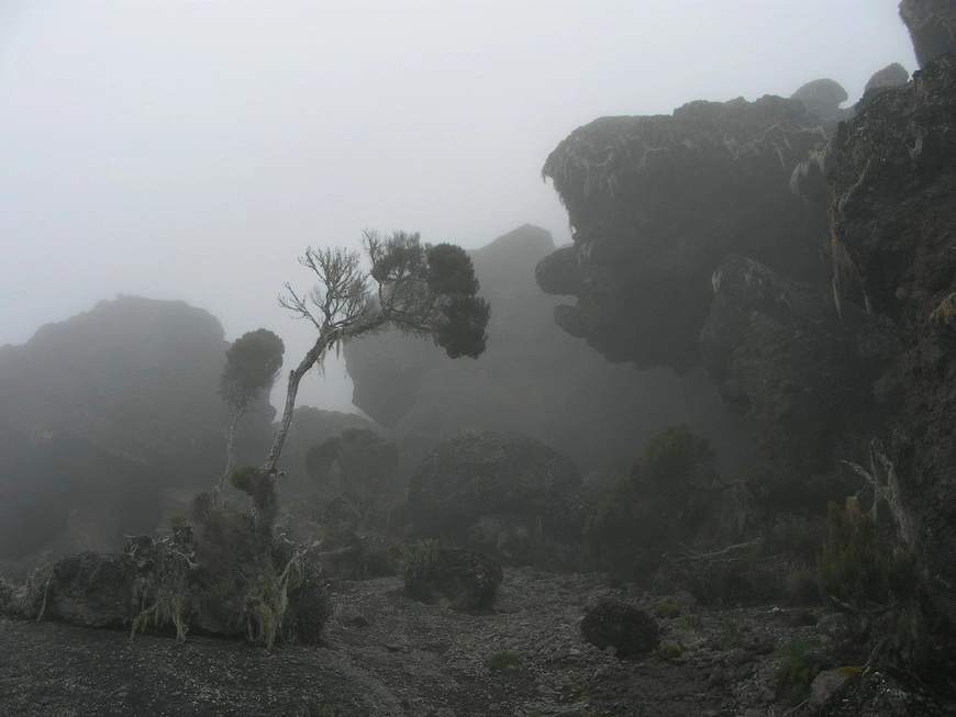Загрузка картинки - Килиманджаро, Каранга Хат. Хаммам