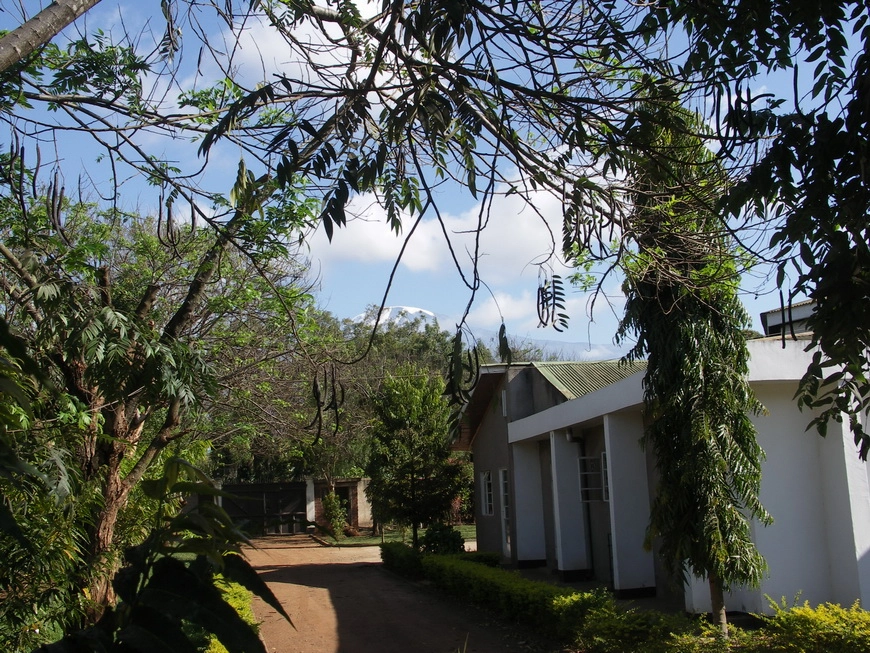 Загрузка картинки - Моши, частный кемпинг. Где-то среди ветвей проглядывает Кили