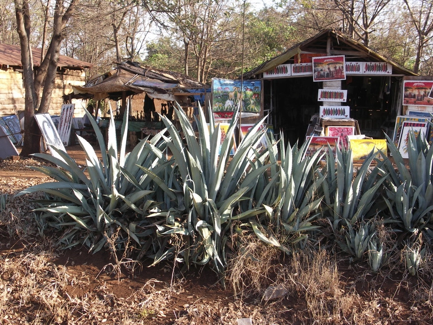 Загрузка картинки - Моши, сувенирная лавка. Придорожная агава и килограммы масляной краски