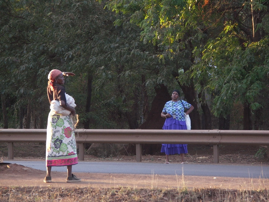 Загрузка картинки - Моши. Придорожные разговоры