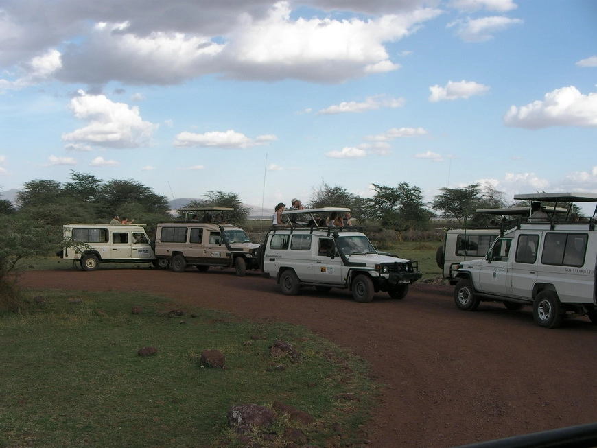 Загрузка картинки - Национальный парк Маньяра. Бабуины в машинах