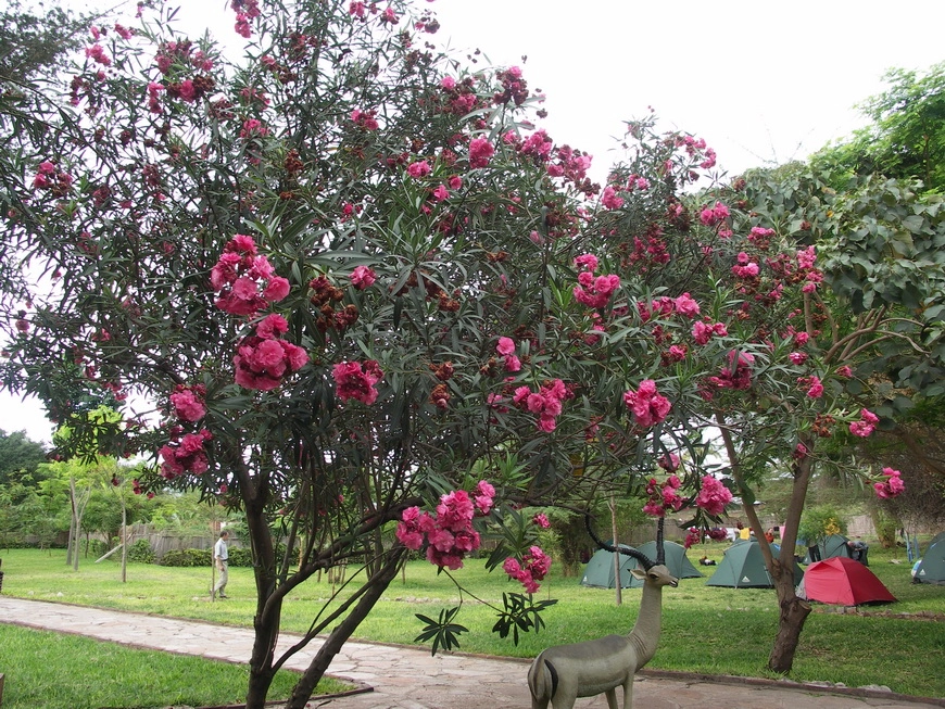 Загрузка картинки - Маньяра. Лодж
