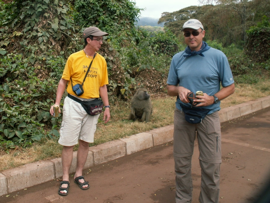 Загрузка картинки - Национальный парк Маньяра. Какие-то бабуины