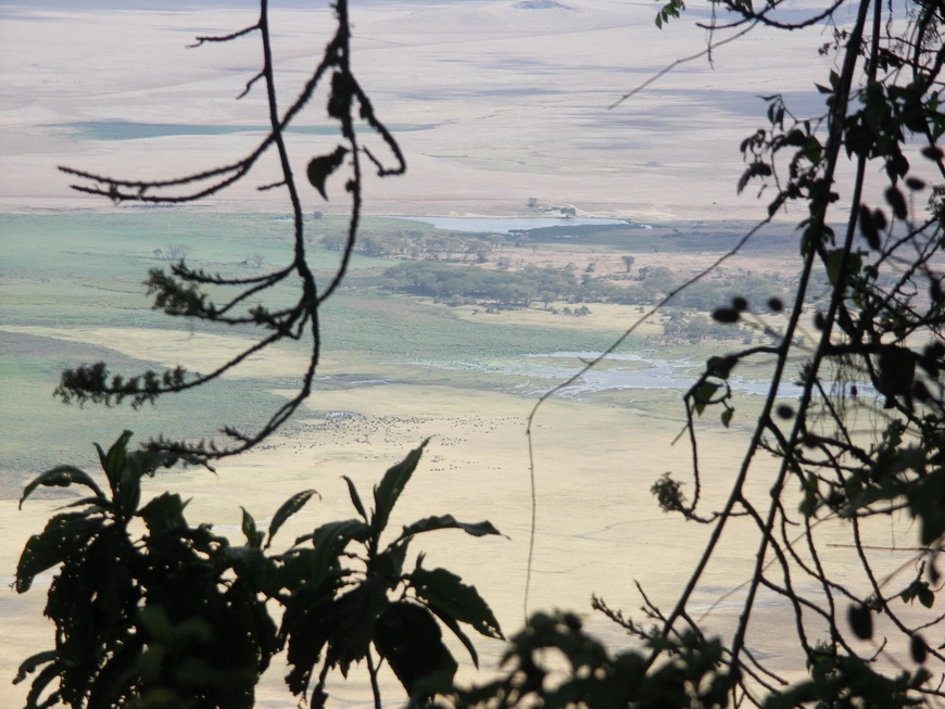 Загрузка картинки - Нгоро-Нгоро. Где-то там спрятался Нос