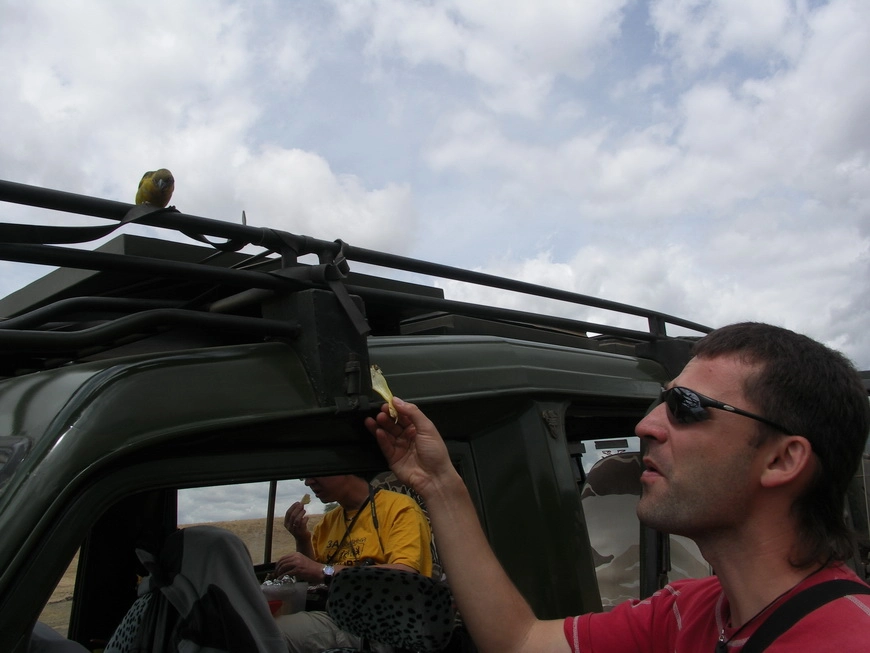 Загрузка картинки - Нгоро-Нгоро, обитатели. Попытка наладить контакт