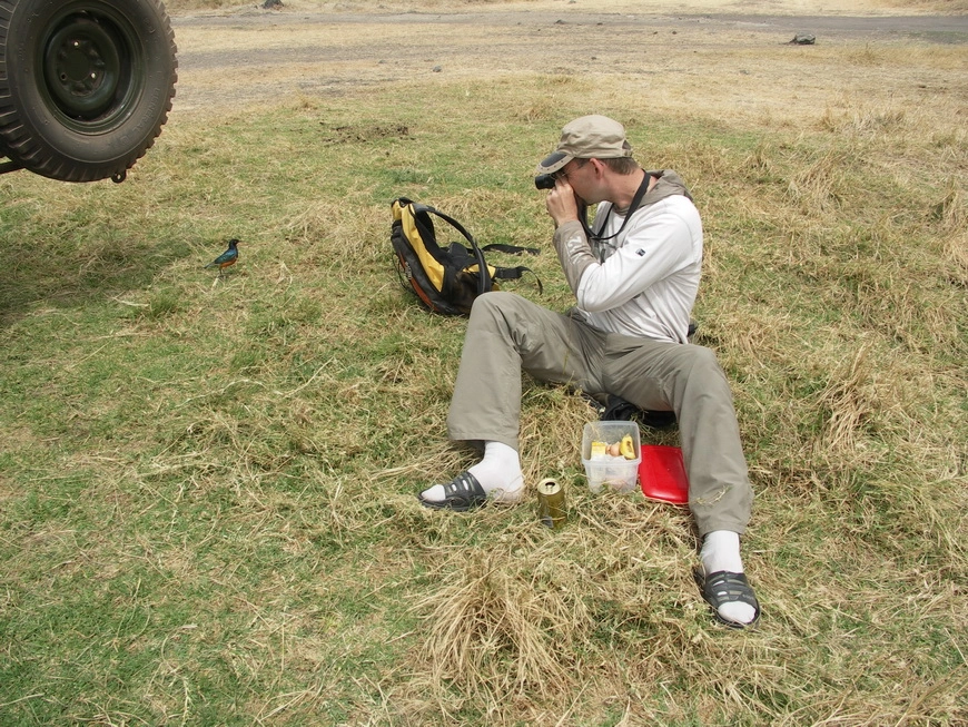 Загрузка картинки - Нгоро-Нгоро, обитатели. Одна птица отвлекает, другая ворует еду