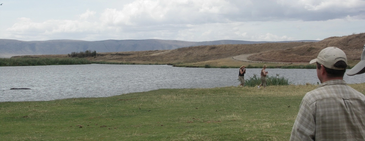 Загрузка картинки - Нгоро-Нгоро, обитатели. Бегемоты фотографируют бегемотов
