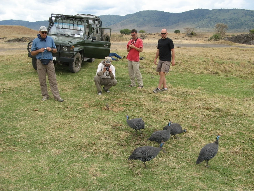 Загрузка картинки - Нгоро-Нгоро, обитатели. Ажиотаж вокруг куриц
