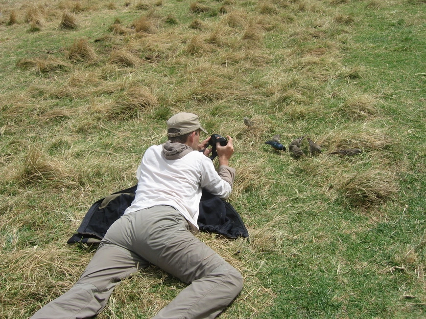 Загрузка картинки - Нгоро-Нгоро, обитатели. Капитан Бо не против поделиться ланч-закуской