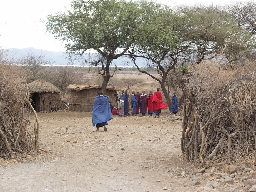 Загрузка картинки - Масайская деревня. Вход