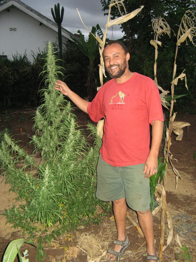 Загрузка картинки - Аруша. Папа Луи на фоне своей плантации