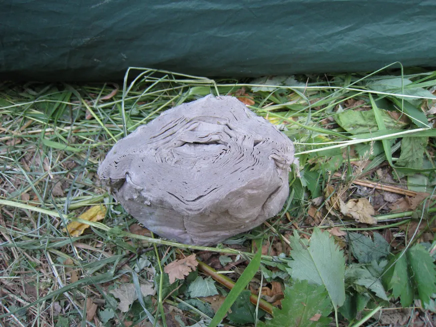 Загрузка картинки - Агидель. Кирпич промокщей туалетной бумаги