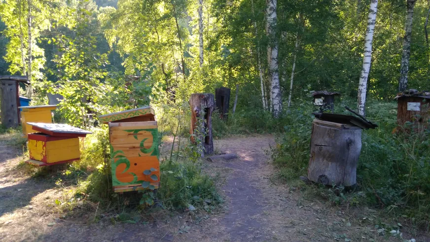 Загрузка картинки - Агидель, заповедник Шульган-Таш. Пчелиное хозяйство