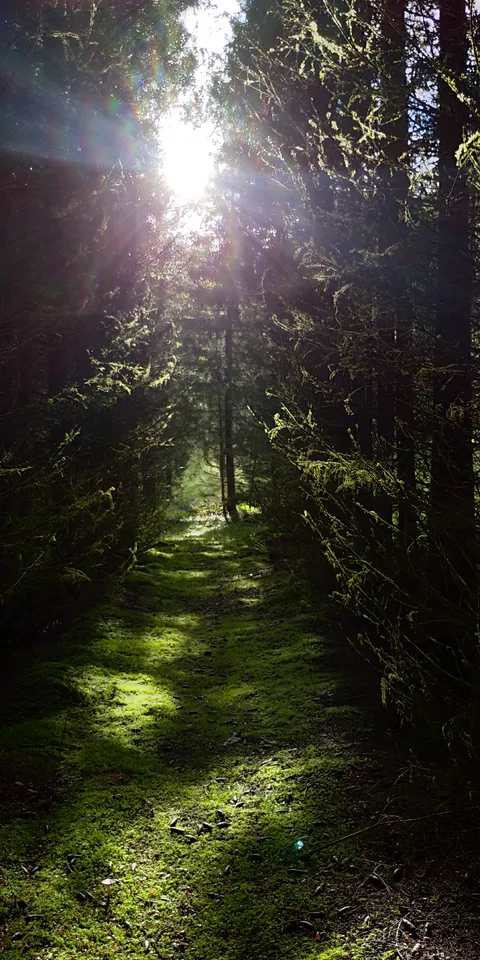 Загрузка картинки - Ай 2024. Сказочная галерея