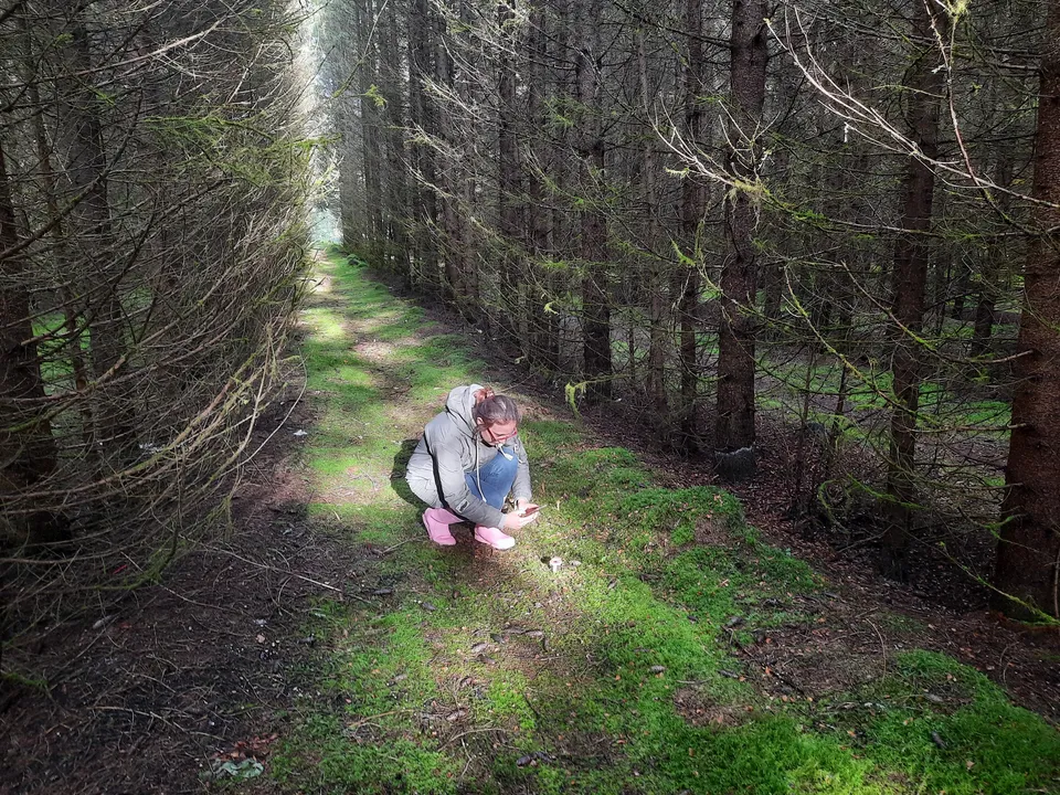 Загрузка картинки - Ай 2024. Поля поймала гриб