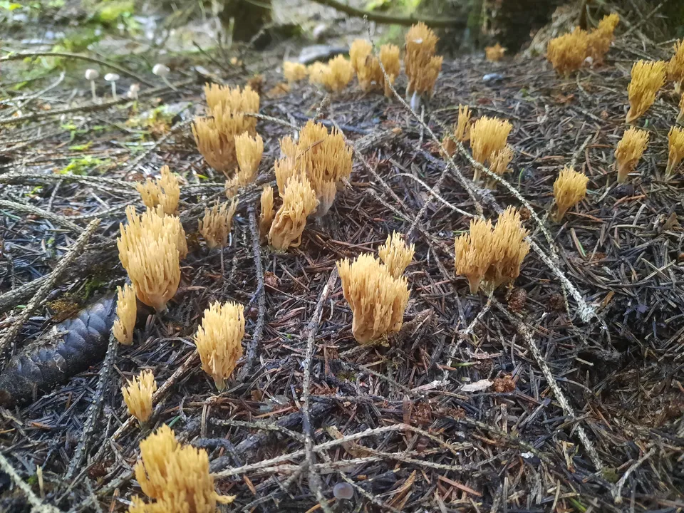 Загрузка картинки - Ай 2024. Нечто странное